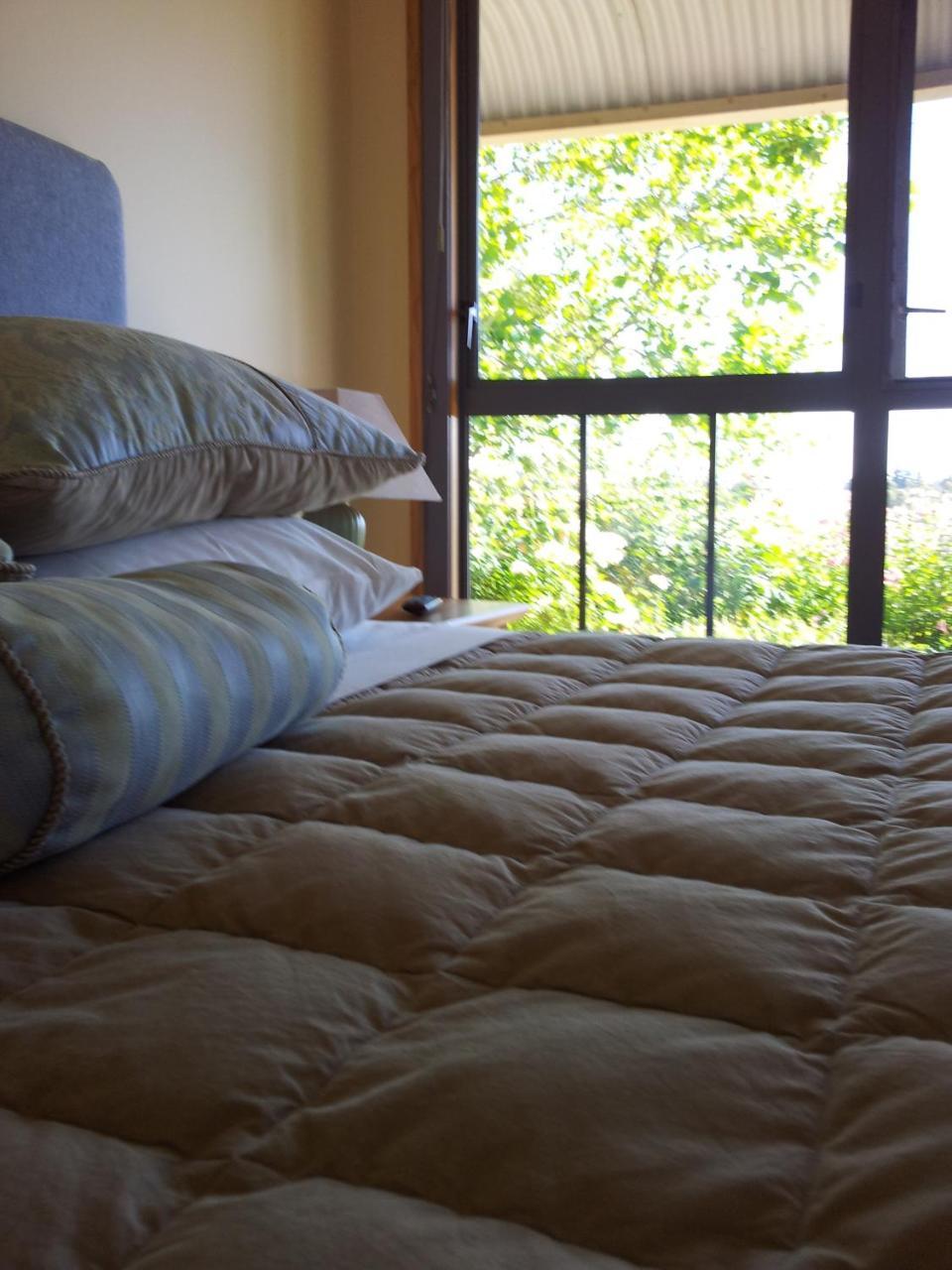 ألكسندرا Hawkdun Rise Vineyard & Accommodation المظهر الخارجي الصورة